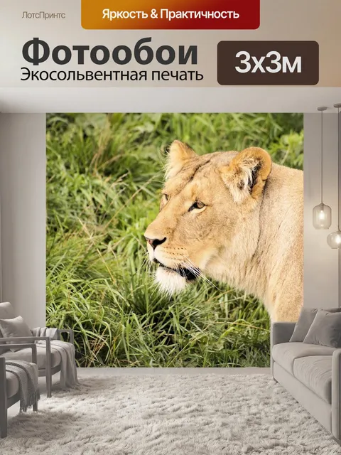 Фотообои Лев