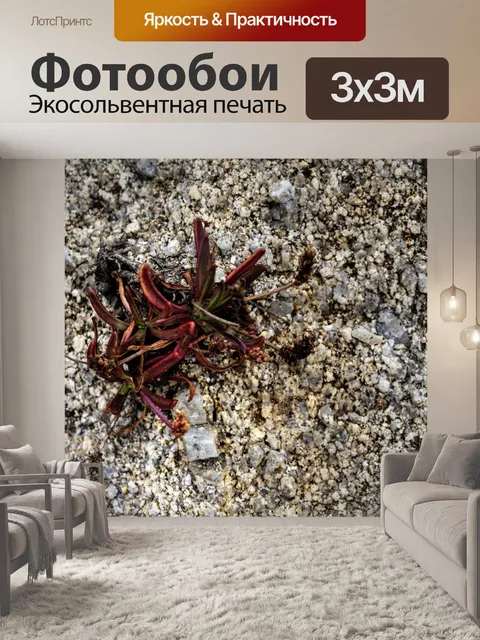 Фотообои Морская жизнь на песке