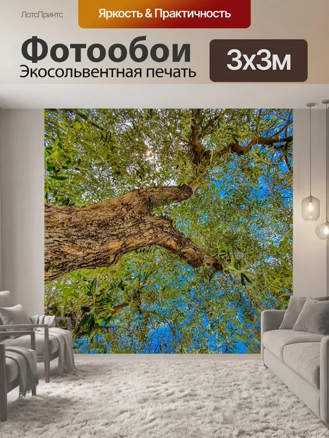 Фотообои Оливковое дерево и голубое небо.