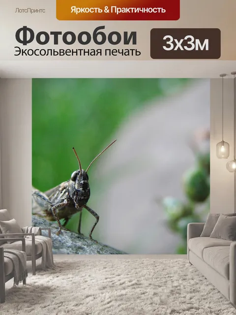 Фотообои Кузнечик