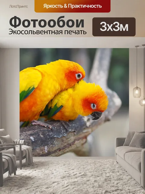 Фотообои Попугай