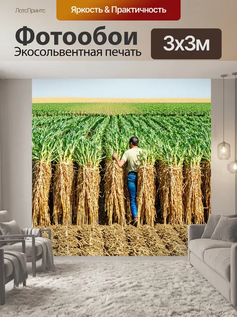 Фотообои визуализируйте тяжелую работу на полях