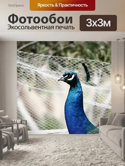 Фотообои Павлин