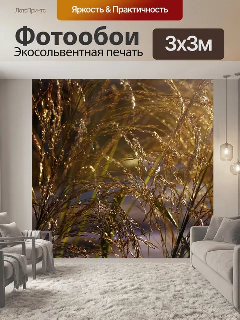 Фотообои Травы просо