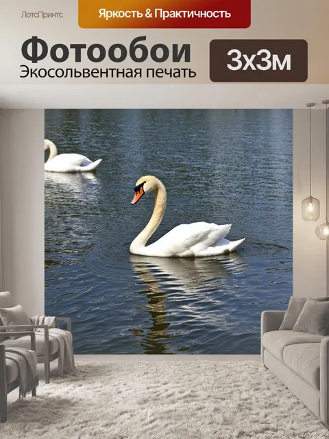 Фотообои озеро, украшенное белыми лебедями, парящими по воде