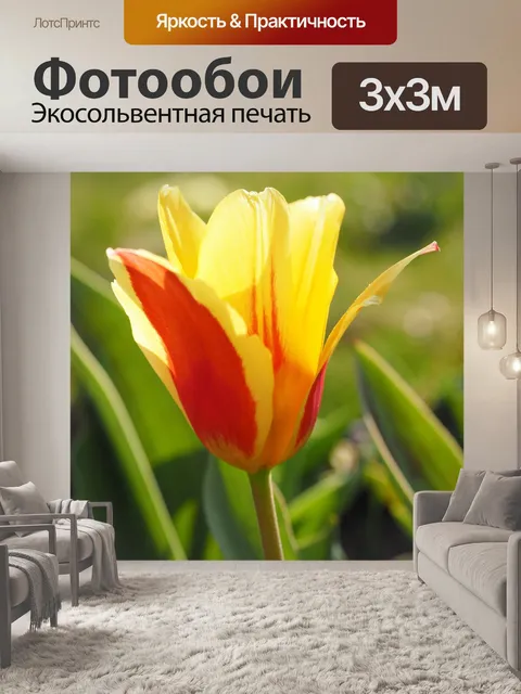 Фотообои Тюльпан
