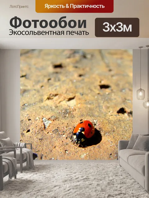 Фотообои Леди ошибка