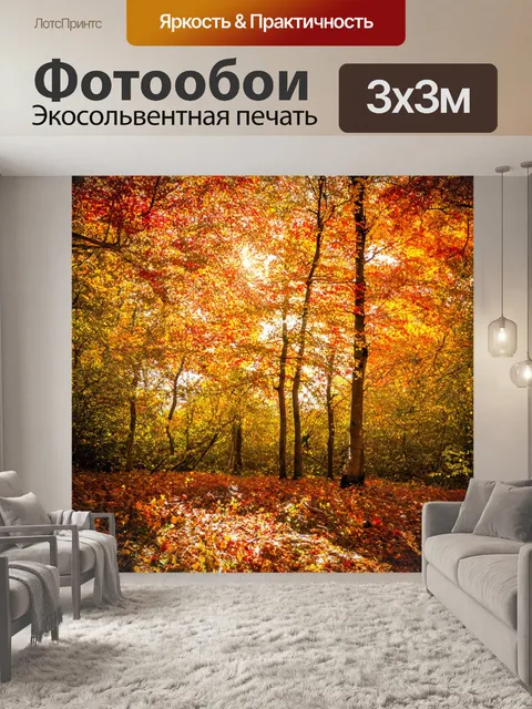 Фотообои листва в лесу, яркие осенние листья, солнце пробивается сквозь деревья, создавая прекрасные тени