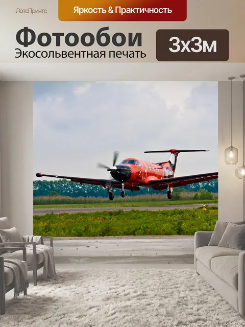 Фотообои Взлет