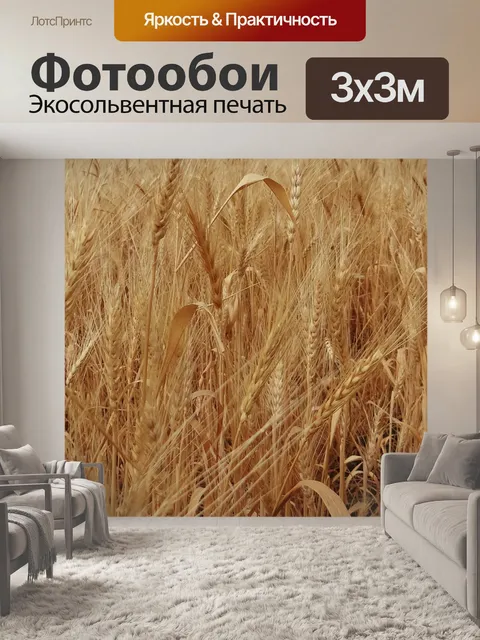 Фотообои Колосья пшеницы