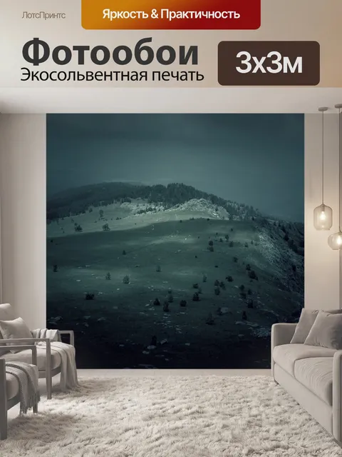 Фотообои Темный