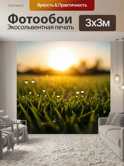 Фотообои поле на рассвете, когда первые лучи солнца начинают прорезать горизонт, освещая каждую каплю росы на траве