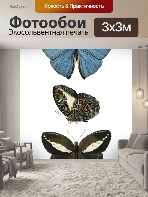 Фотообои Клипарт Moth hawkers vintage