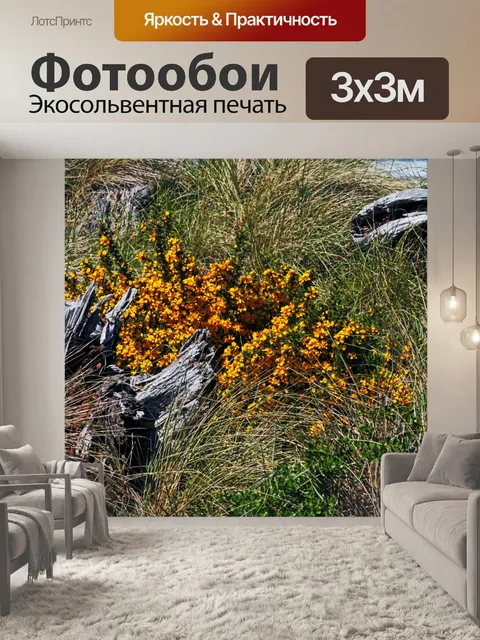 Фотообои Коряги и желтые цветы