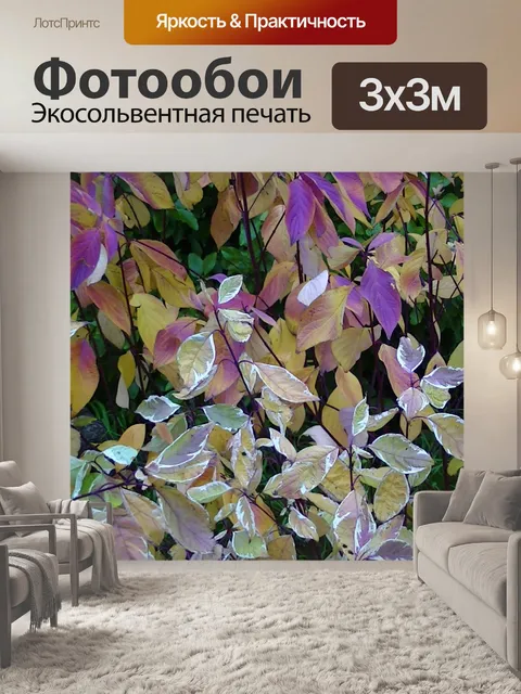 Фотообои Зима Листья Цвета
