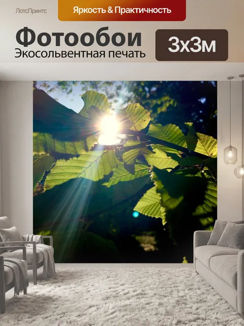 Фотообои Солнечные лучи