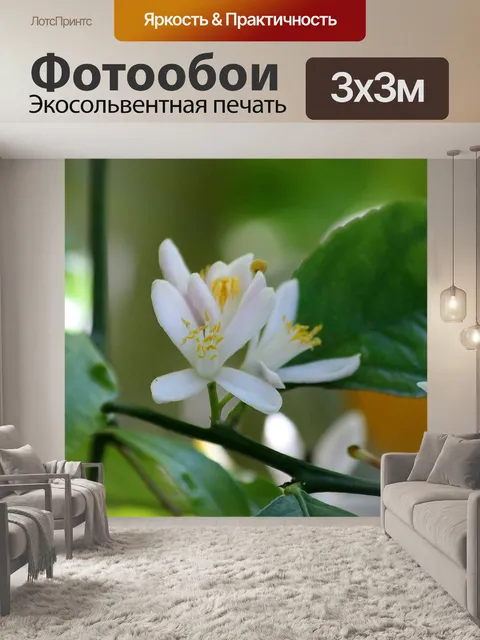 Фотообои Цвести