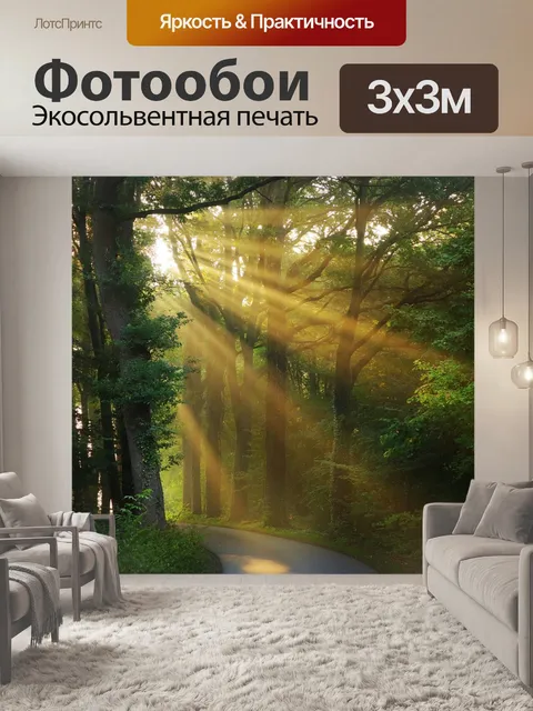 Фотообои Лучи солнца