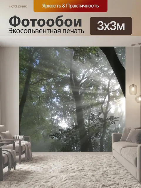 Фотообои Лес