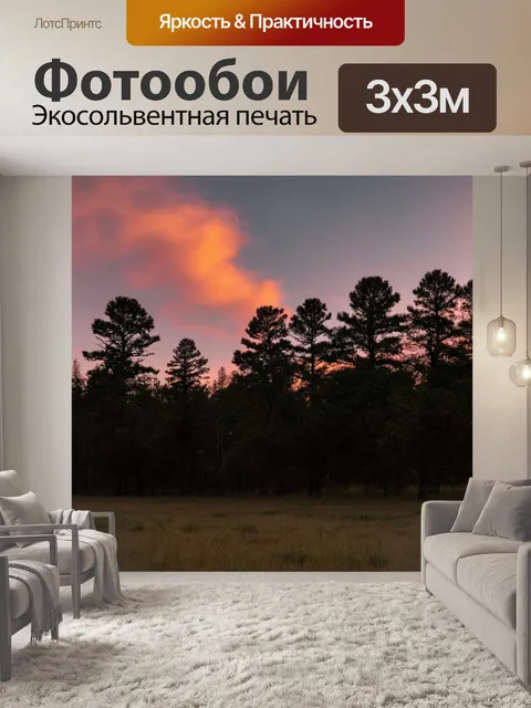 Фотообои лес в стиле минимализм, вечернее время, деревья на горизонте, облака розового и оранжевого оттенка