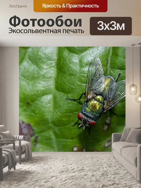 Фотообои Летать