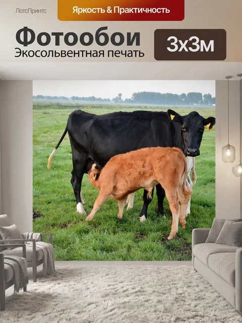 Фотообои Корова и теленок 5