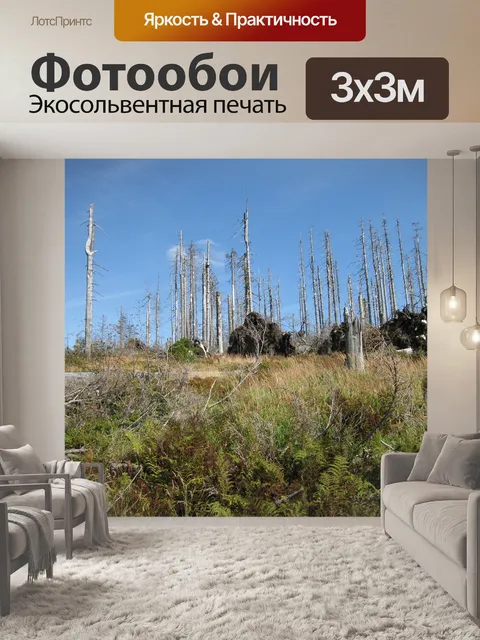 Фотообои Сухостой