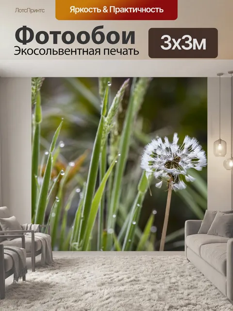 Фотообои Одуванчик