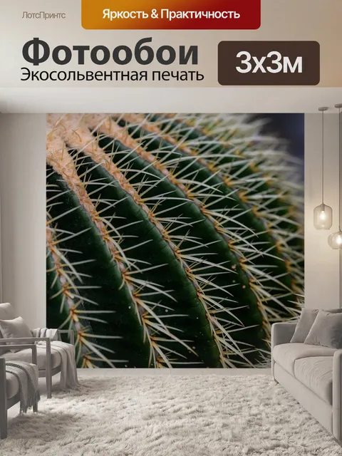 Фотообои Золотой шар кактус