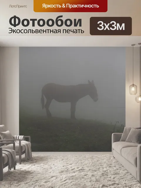 Фотообои Осел