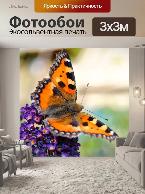 Фотообои Бабочка