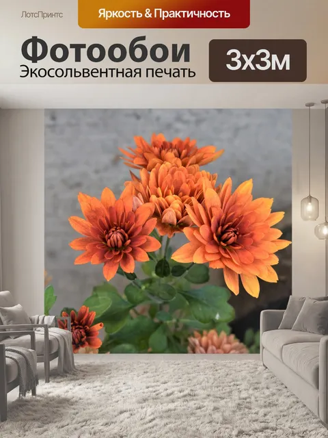 Фотообои Цветок