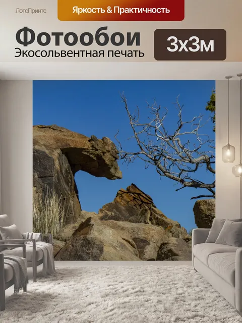 Фотообои Национальный парк Джошуа-Три