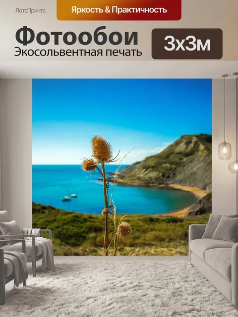 Фотообои Чертополох