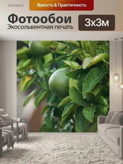 Фотообои Лайм