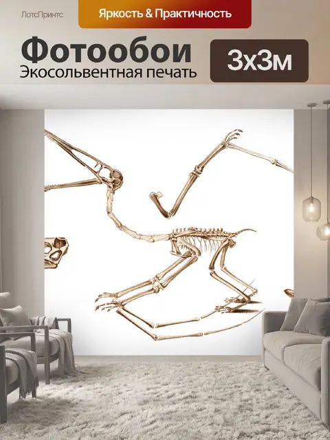 Фотообои Винтажное искусство окаменелостей птероз