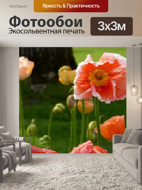 Фотообои Маки