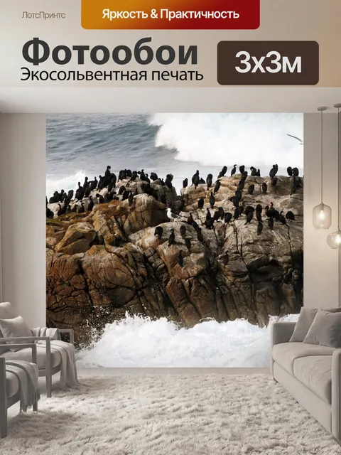 Фотообои Бакланы на скале