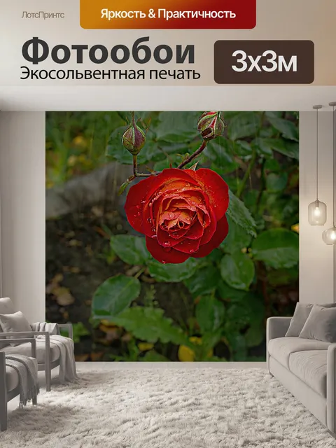 Фотообои Осень