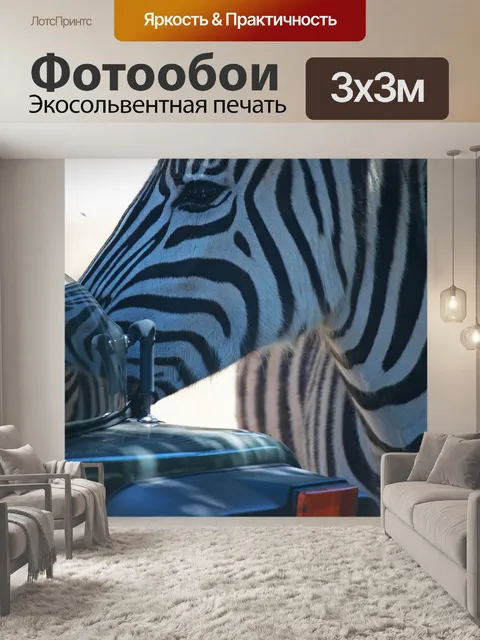 Фотообои Зебра Берчелла близко