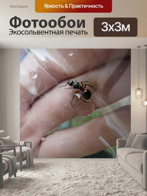 Фотообои Королева лесных муравьев