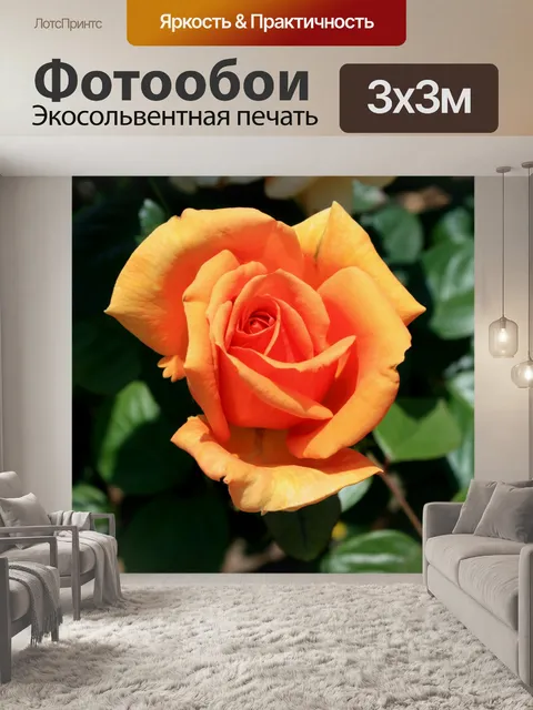 Фотообои цвет заката розы