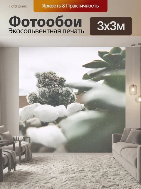Фотообои Кофе