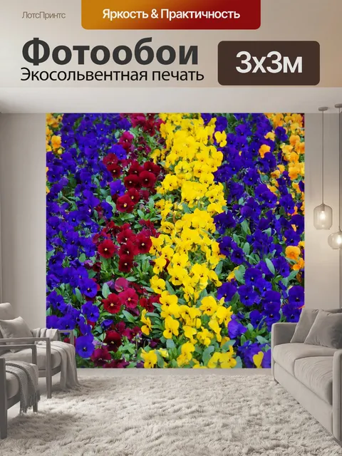 Фотообои Цветок