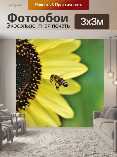 Фотообои Пчела