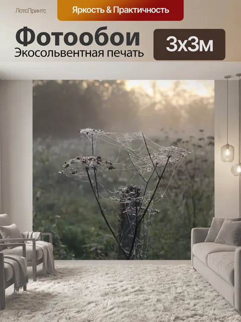 Фотообои Утренняя роса