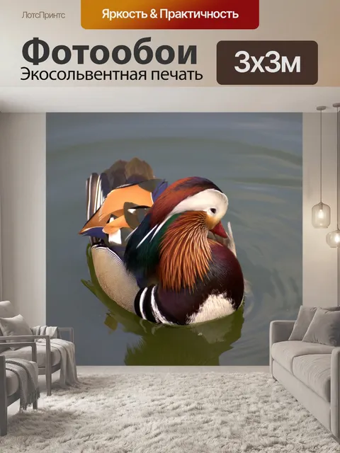 Фотообои Мандарина и уток