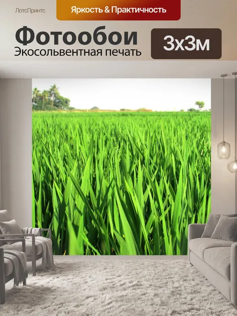 Фотообои Пэдди