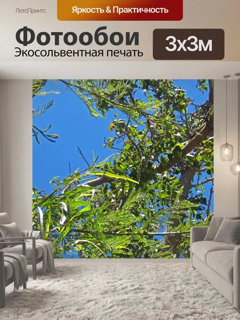 Фотообои Зеленая листва против голубого неба
