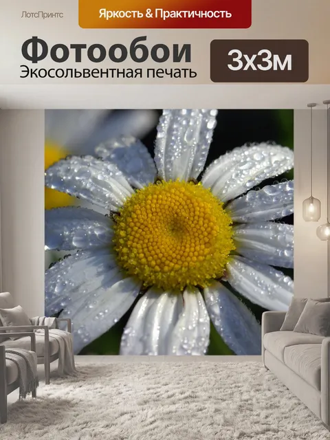 Фотообои Ромашки